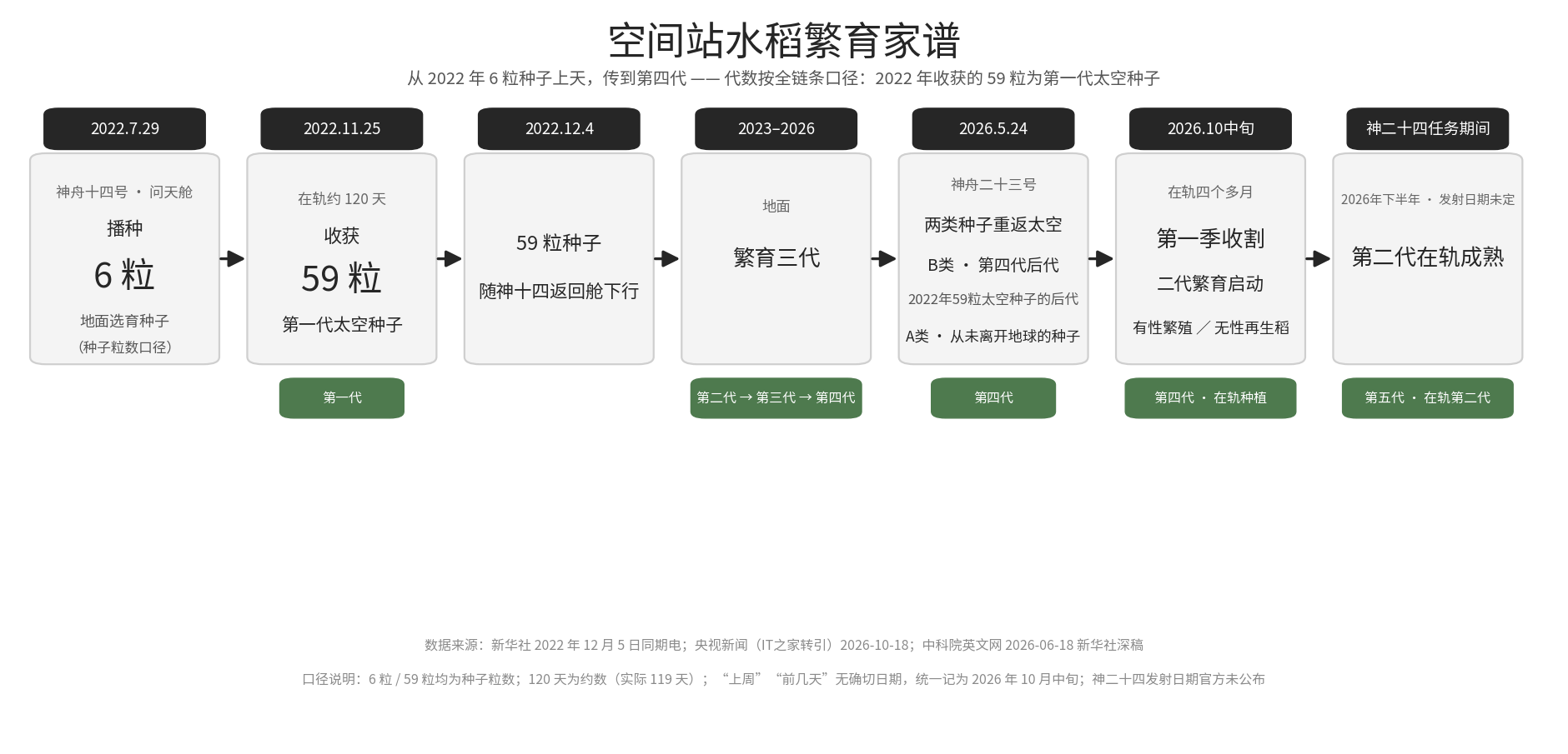 空间站水稻繁育家谱
